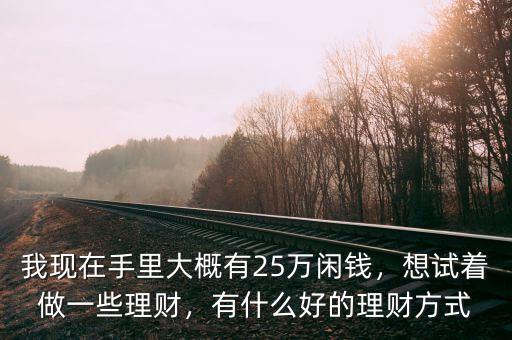 我現(xiàn)在手里大概有25萬(wàn)閑錢，想試著做一些理財(cái)，有什么好的理財(cái)方式