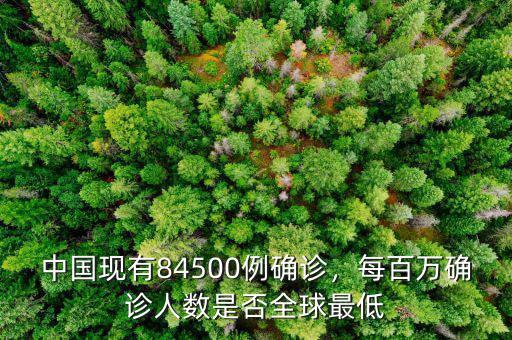 中國(guó)現(xiàn)有84500例確診，每百萬確診人數(shù)是否全球最低
