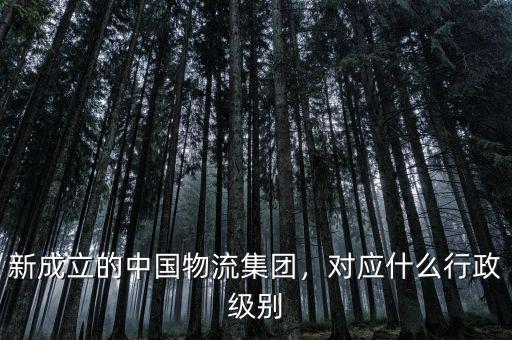 新成立的中國(guó)物流集團(tuán)，對(duì)應(yīng)什么行政級(jí)別