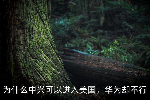為什么中興可以進(jìn)入美國(guó)，華為卻不行