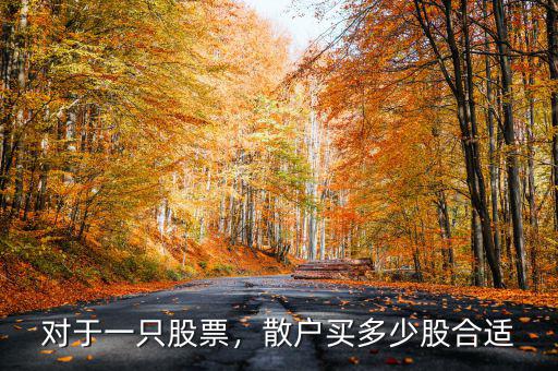 股票應(yīng)該買(mǎi)多少只,買(mǎi)股票是分散多只股票投資好