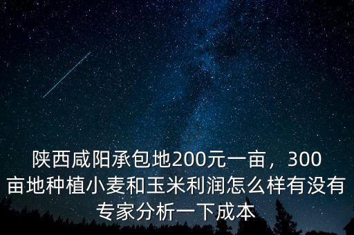 陜西咸陽(yáng)承包地200元一畝，300畝地種植小麥和玉米利潤(rùn)怎么樣有沒(méi)有專(zhuān)家分析一下成本