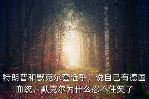 特朗普和默克爾套近乎，說自己有德國(guó)血統(tǒng)，默克爾為什么忍不住笑了