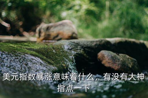 美元指數(shù)暴漲意味著什么，有沒(méi)有大神指點(diǎn)一下