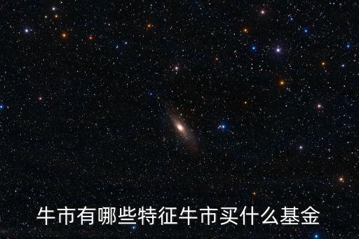 牛市有哪些特征牛市買(mǎi)什么基金