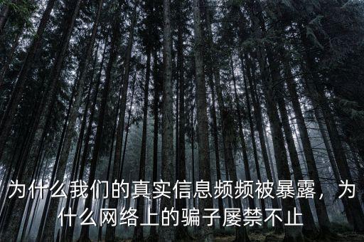 為什么我們的真實信息頻頻被暴露，為什么網(wǎng)絡(luò)上的騙子屢禁不止