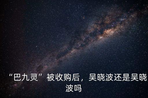 “巴九靈”被收購后，吳曉波還是吳曉波嗎