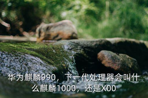 華為麒麟990，下一代處理器會叫什么麒麟1000，還是X00