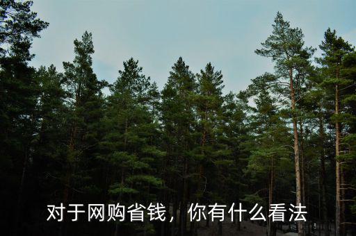 對(duì)于網(wǎng)購(gòu)省錢(qián)，你有什么看法