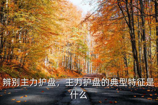 國(guó)家隊(duì)護(hù)盤(pán)是什么意思,為啥國(guó)家隊(duì)護(hù)盤(pán)最愛(ài)買中石油
