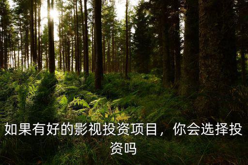 如果有好的影視投資項(xiàng)目，你會(huì)選擇投資嗎