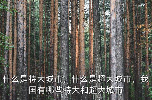 什么是特大城市，什么是超大城市，我國有哪些特大和超大城市