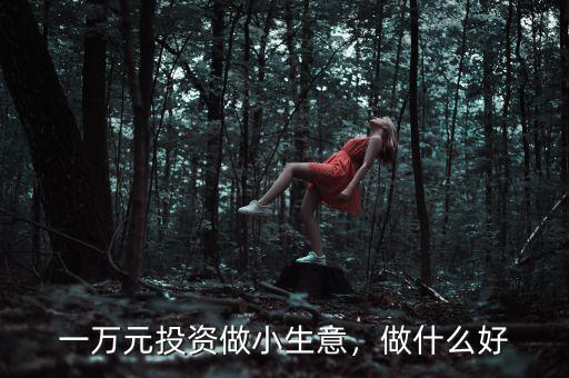 一萬元投資做小生意，做什么好