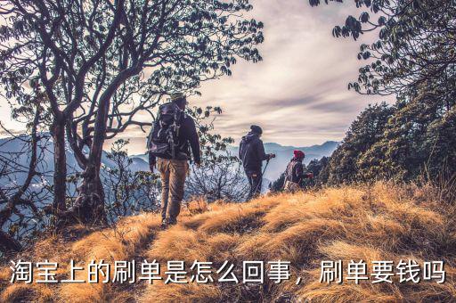 淘寶上的刷單是怎么回事，刷單要錢嗎
