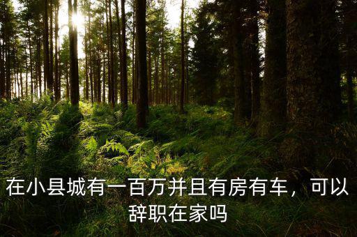 在小縣城有一百萬并且有房有車，可以辭職在家嗎