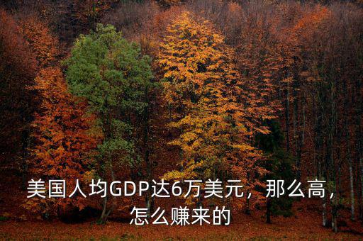 美國人均GDP達(dá)6萬美元，那么高，怎么賺來的