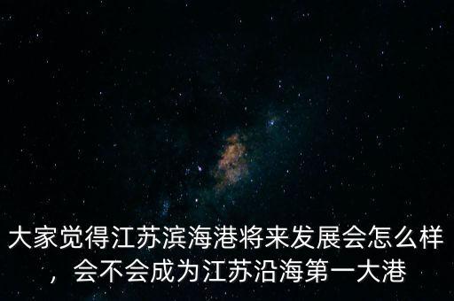 大家覺得江蘇濱海港將來發(fā)展會怎么樣，會不會成為江蘇沿海第一大港