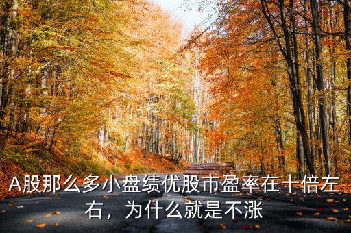 A股那么多小盤績(jī)優(yōu)股市盈率在十倍左右，為什么就是不漲