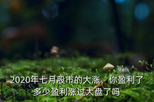 2020年七月股市的大漲，你盈利了多少盈利漲過(guò)大盤了嗎