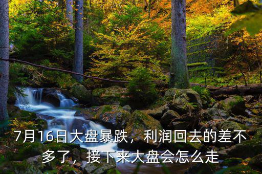 7月16日大盤暴跌，利潤(rùn)回去的差不多了，接下來大盤會(huì)怎么走