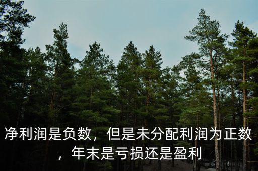 凈利潤是負數(shù)，但是未分配利潤為正數(shù)，年末是虧損還是盈利