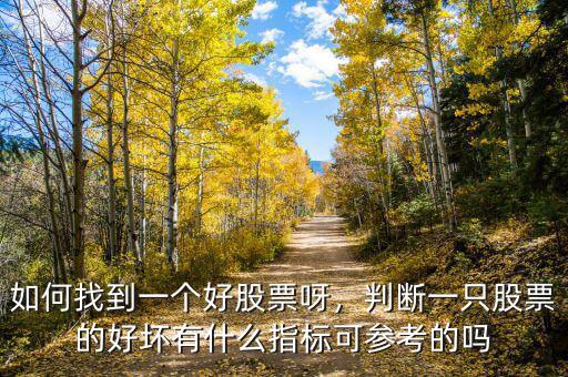 如何找到一個好股票呀，判斷一只股票的好壞有什么指標可參考的嗎