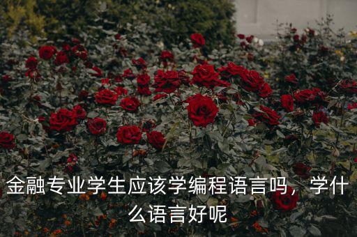 金融專業(yè)學(xué)生應(yīng)該學(xué)編程語言嗎，學(xué)什么語言好呢