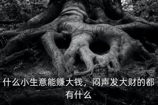 什么小生意能賺大錢，悶聲發(fā)大財?shù)亩加惺裁? class=