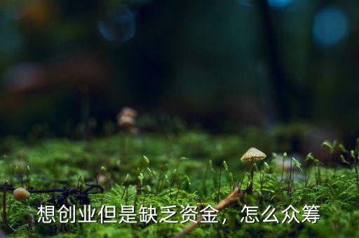 想創(chuàng)業(yè)但是缺乏資金，怎么眾籌