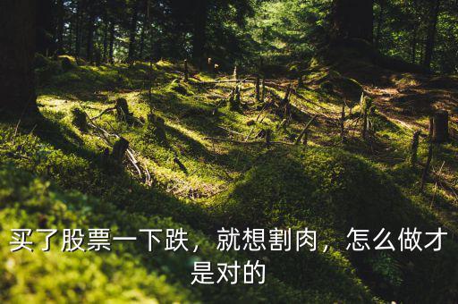 買了股票一下跌，就想割肉，怎么做才是對的