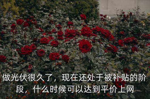 做光伏很久了，現(xiàn)在還處于被補貼的階段，什么時候可以達到平價上網(wǎng)