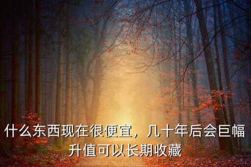 什么東西現(xiàn)在很便宜，幾十年后會(huì)巨幅升值可以長期收藏