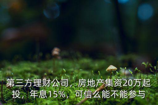 第三方理財公司，房地產(chǎn)集資20萬起投，年息15%，可信么能不能參與