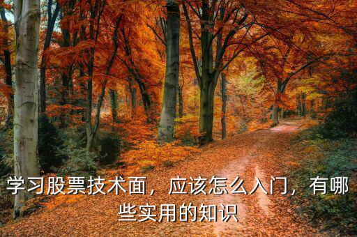 學(xué)習(xí)股票技術(shù)面，應(yīng)該怎么入門，有哪些實(shí)用的知識(shí)