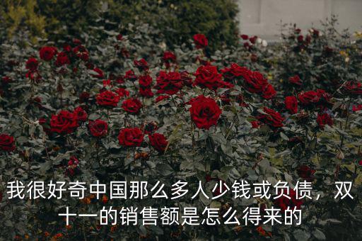 我很好奇中國那么多人少錢或負(fù)債，雙十一的銷售額是怎么得來的