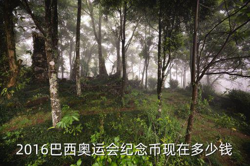 2016巴西奧運(yùn)會(huì)紀(jì)念幣現(xiàn)在多少錢(qián)