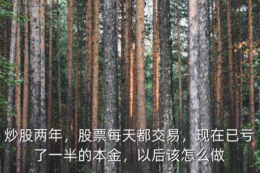 炒股兩年，股票每天都交易，現在已虧了一半的本金，以后該怎么做