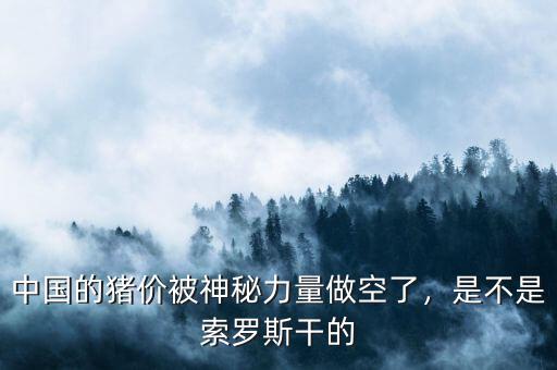 中國的豬價(jià)被神秘力量做空了，是不是索羅斯干的