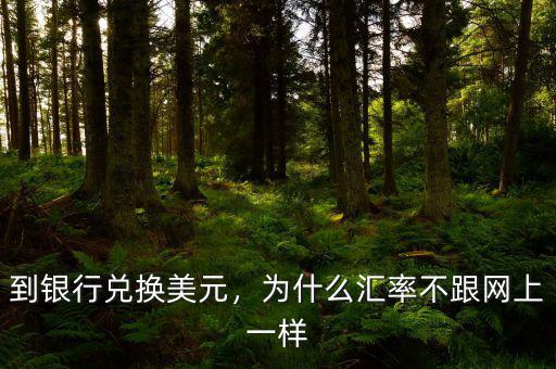 到銀行兌換美元，為什么匯率不跟網(wǎng)上一樣