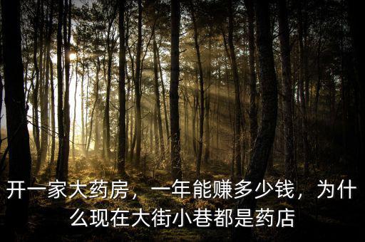 開一家大藥房，一年能賺多少錢，為什么現(xiàn)在大街小巷都是藥店