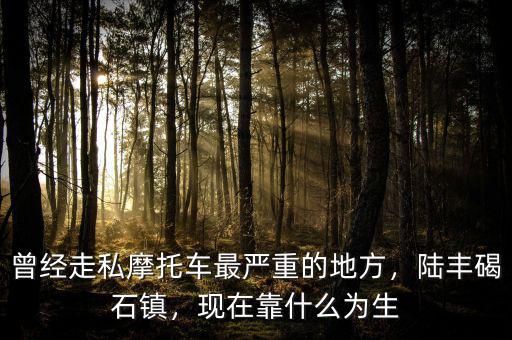 曾經(jīng)走私摩托車最嚴重的地方，陸豐碣石鎮(zhèn)，現(xiàn)在靠什么為生