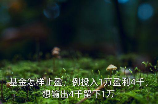 基金怎樣止盈，例投入1萬(wàn)盈利4千，想輸出4千留下1萬(wàn)
