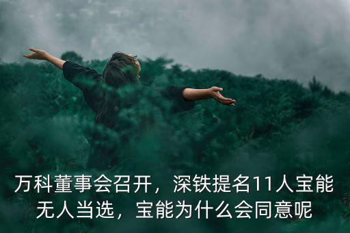 萬(wàn)科董事會(huì)召開，深鐵提名11人寶能無(wú)人當(dāng)選，寶能為什么會(huì)同意呢