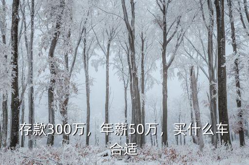 存款300萬，年薪50萬，買什么車合適