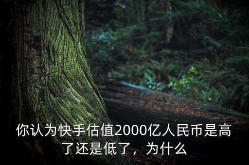 你認為快手估值2000億人民幣是高了還是低了，為什么
