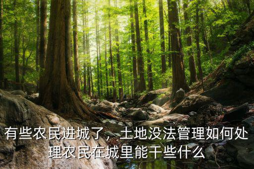 有些農(nóng)民進(jìn)城了，土地沒法管理如何處理農(nóng)民在城里能干些什么