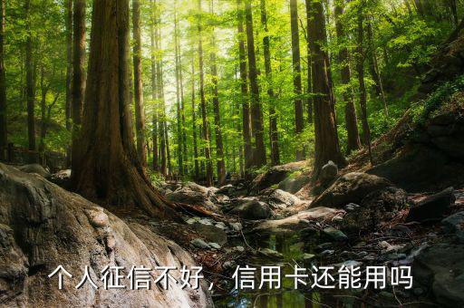 個(gè)人征信不好，信用卡還能用嗎