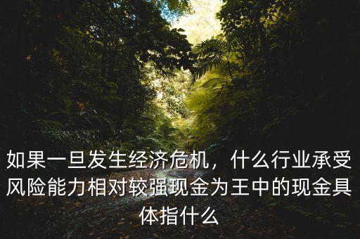 如果一旦發(fā)生經(jīng)濟(jì)危機(jī)，什么行業(yè)承受風(fēng)險(xiǎn)能力相對(duì)較強(qiáng)現(xiàn)金為王中的現(xiàn)金具體指什么