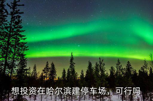 想投資在哈爾濱建停車(chē)場(chǎng)，可行嗎