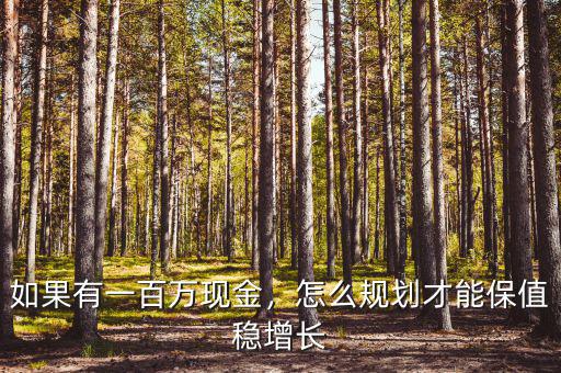 百萬怎么保值,怎么規(guī)劃才能保值穩(wěn)增長(zhǎng)